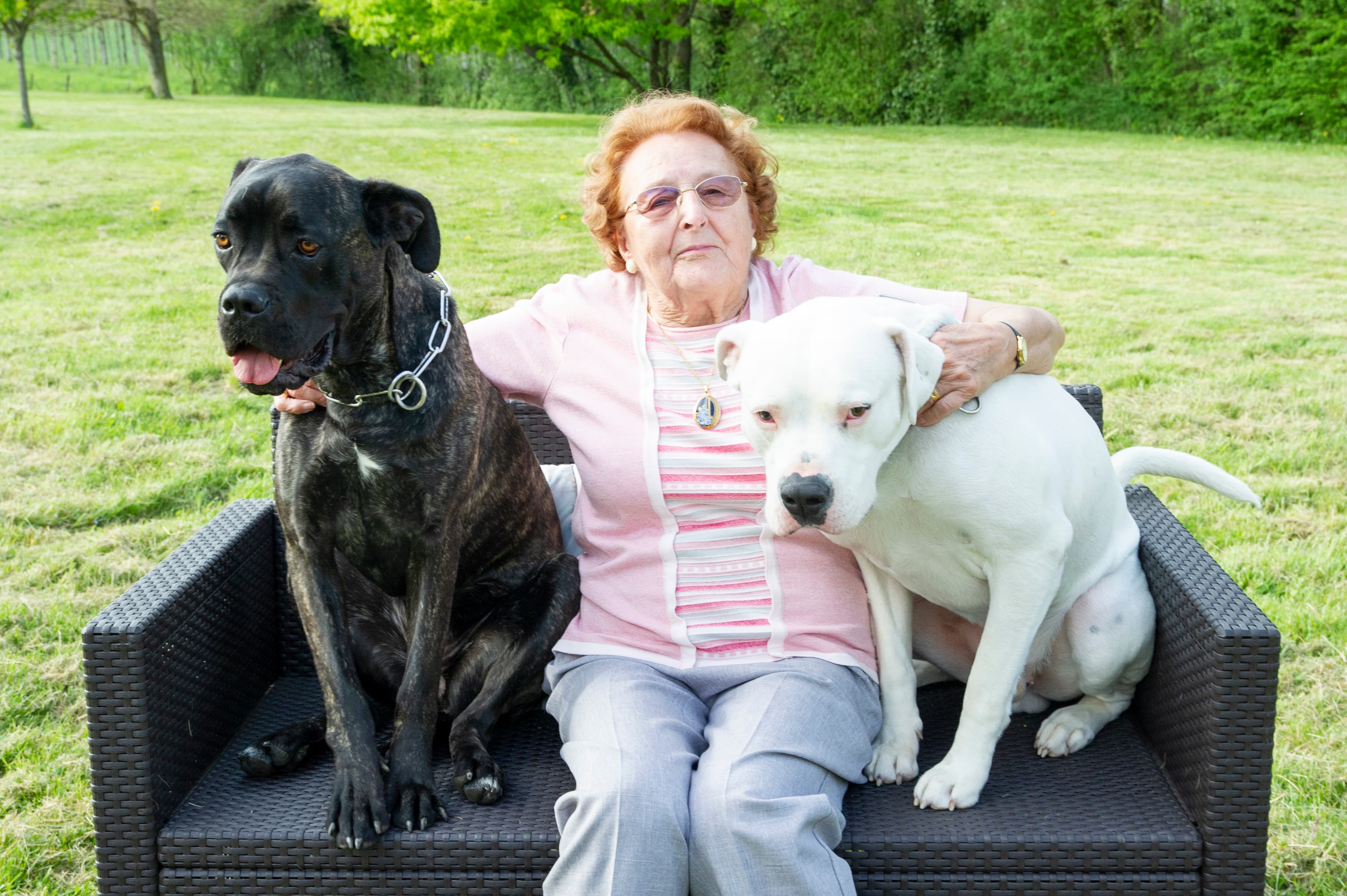 Justine Lagrange en séance avec un chien